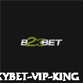 yxybet - VIP King